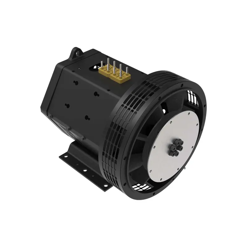 22 Kw Generator End (12 Wire) 1