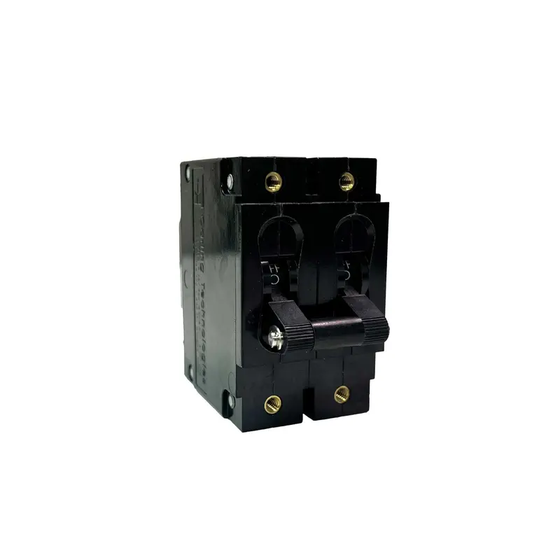80 Amp Small 2 Pole Breaker 1