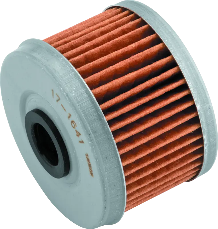 Bikemaster Bm-113 Oil Filter - Black 1