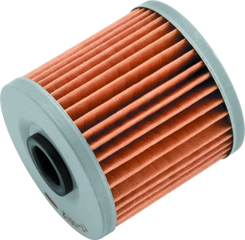 Bikemaster Bm-123 Oil Filter - Black 1