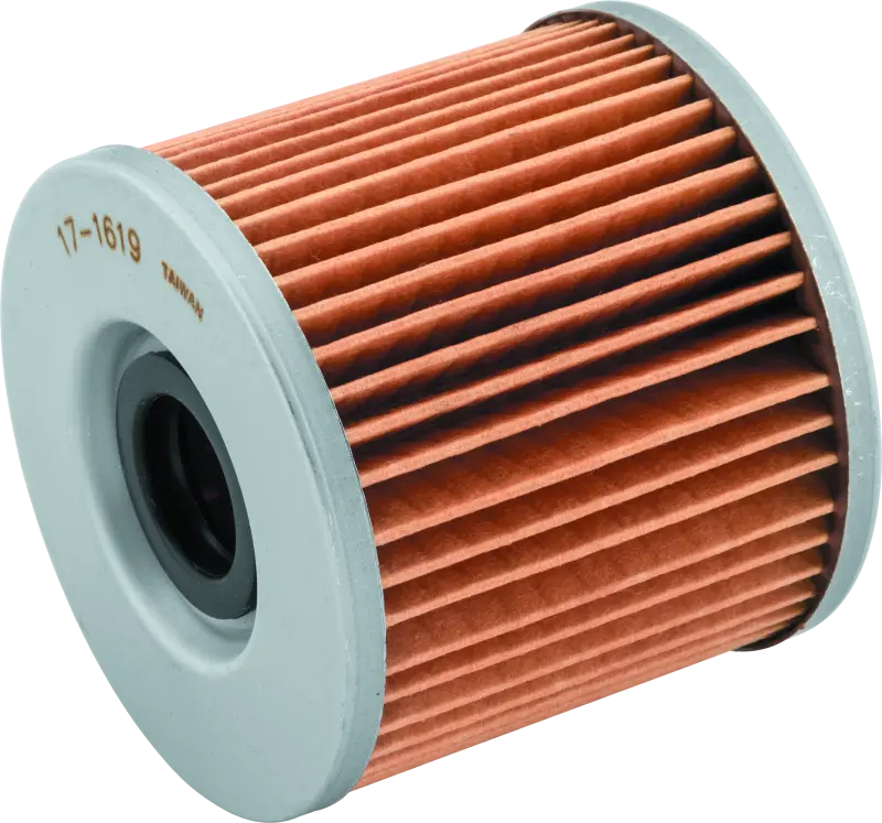 Bikemaster Bm-133 Oil Filter - Black 1