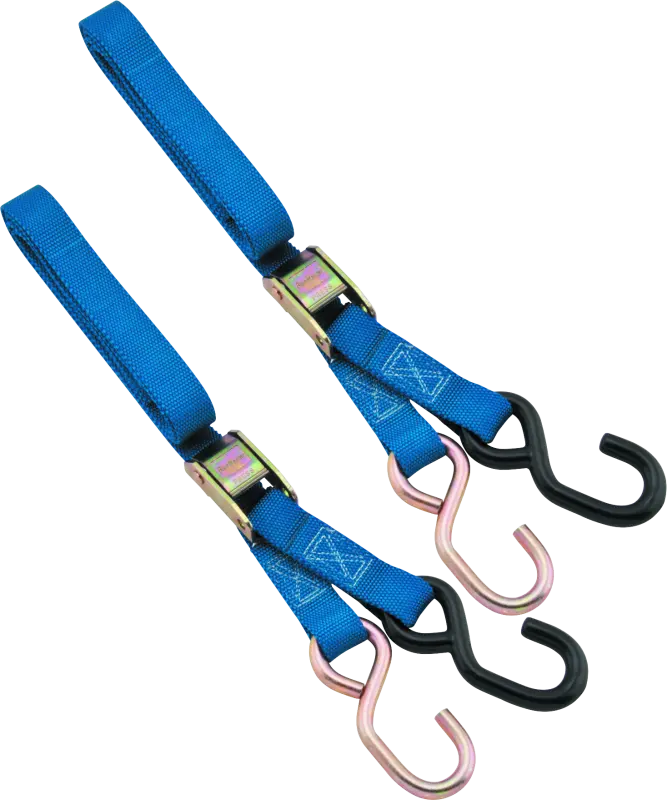 Bikemaster Tiedown 1In - Blue 1
