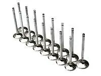Brian Crower Honda/Acura K20a2/K20a/K24a2 36Mm Intake Valves 1