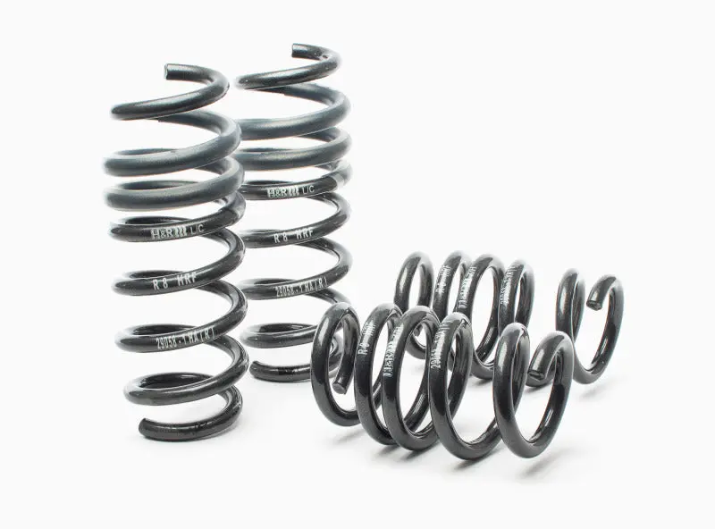 H&R 08-15 Audi R8/R8 Cabrio V8/V10 Sport Spring 1