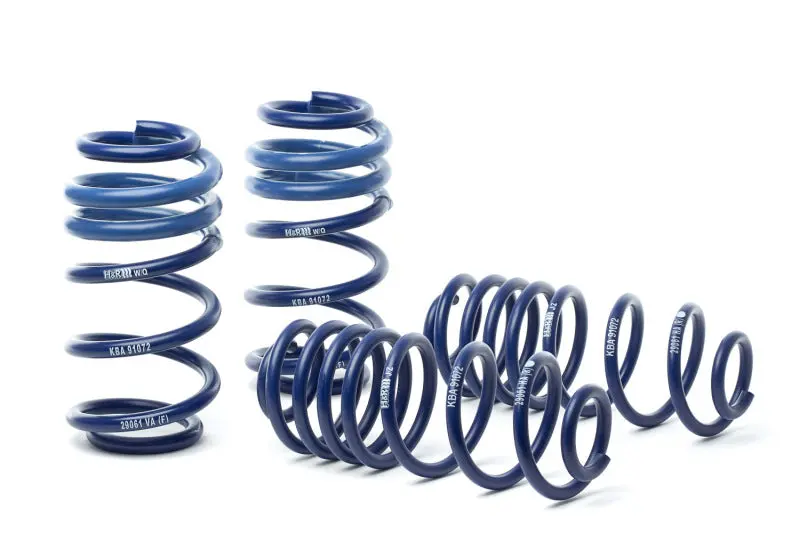 H&R 09-16 Audi A4/A4 Quattro/S4 (2Wd/4Wd) B8 Oe Sport Spring 2