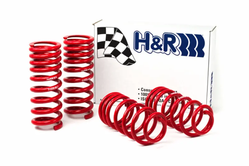 H&R 94-95 Ford Mustang/Mustang Cobra V8 Race Spring 1