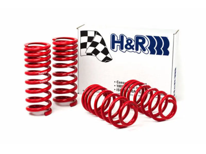 H&R 94-95 Ford Mustang/Mustang Cobra V8 Race Spring 2