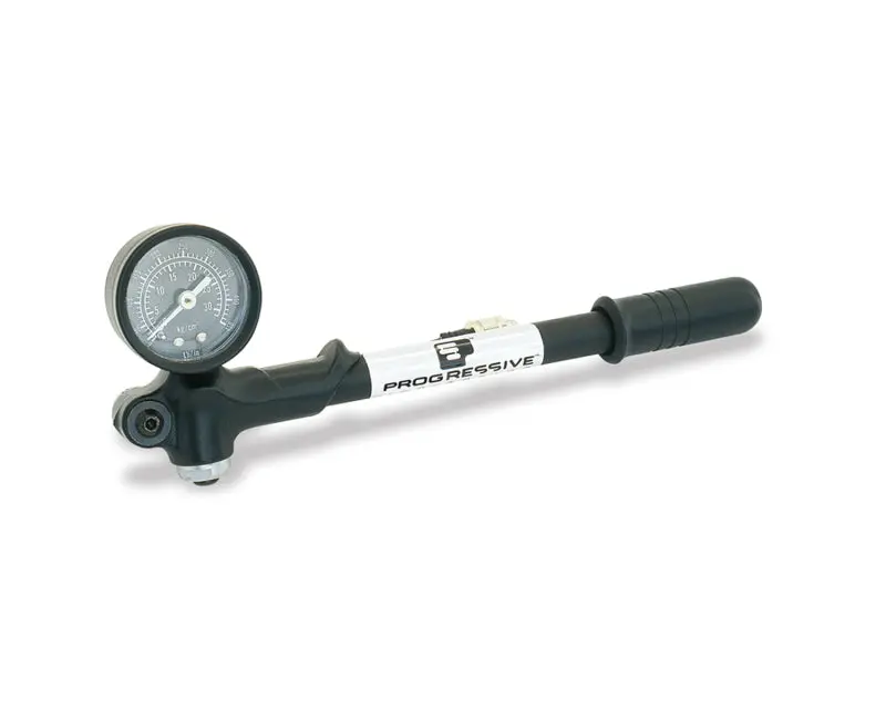 Progressive Gp3-100 Micro Pump 100Psi 2