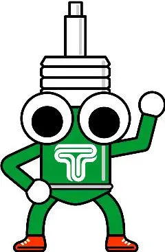 Tein Damper Keychain - Green/Black 1